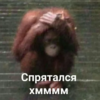 🙈 emoji Монке хмммм Telegram sticker 10 of 50