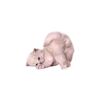 🐱 emoji ❤️‍🩹* ♡๑｡・xiaother - @ilxaf8_2 Telegram sticker 5 of 70