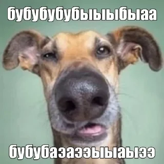 🥸 emoji Леймпак Telegram sticker 19 of 95