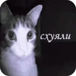 🫥 emoji Для изгоев Telegram sticker 14 of 50