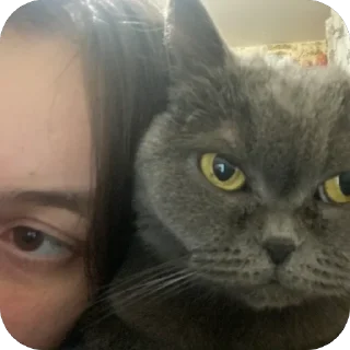 🫥 emoji пак для богинесс Telegram sticker 15 of 115