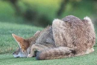 😞 emoji NAVARI's rl yotes Telegram sticker 24 of 54