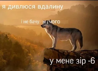 🐺 emoji Вовки Telegram sticker 17 of 32