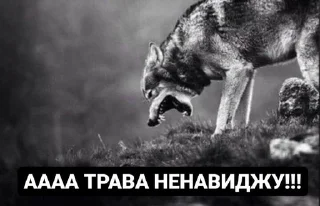🐺 emoji Вовки Telegram sticker 19 of 32