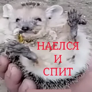 😴 emoji ТАК СТОП НАХОЙ Telegram sticker 7 of 120