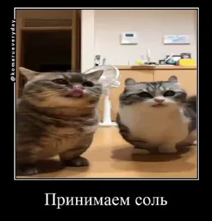 😶 emoji солевой @iam13yo Telegram sticker 21 of 50