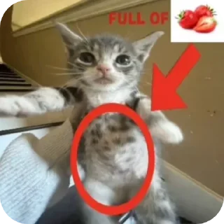 Sticker from ебать не должно