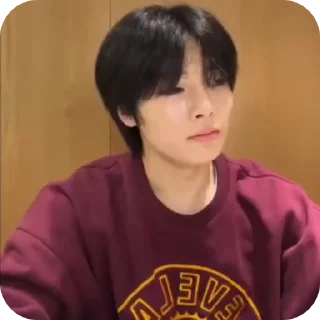 🌟 emoji JEONING |@STRAYKIDS_WIENER| Telegram sticker 12 of 22