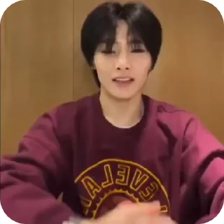 🌟 emoji JEONING |@STRAYKIDS_WIENER| Telegram sticker 6 of 22