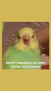 😩 emoji стикерочки @youuumee Telegram sticker 12 of 46