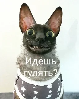 Sticker from Летучий зажигает