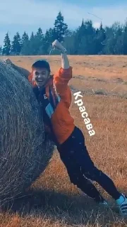 💪 emoji гон фладд как смысл жизни Telegram sticker 19 of 30