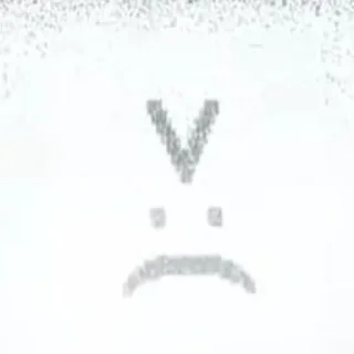 🪿 emoji гусь Telegram sticker 5 of 13