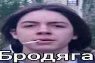 Sticker from Лесные уёбища