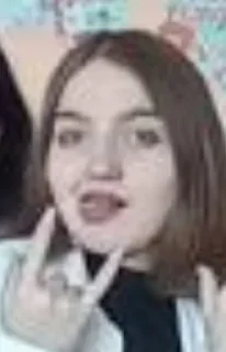 🤪 emoji Гаремчик Telegram sticker 1 of 40