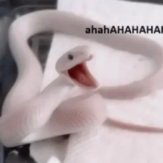 🐍 emoji 𝐀𝐒𝐏𓆗𝐃 ↹ @aspidrp Telegram sticker 17 of 48