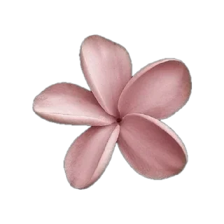 Sticker from кискискис