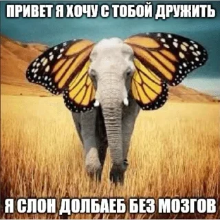 🤪 emoji я про че (by dpdpdpxlls) Telegram sticker 3 of 98