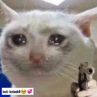 🥺 emoji inst: kstask0🥺💞 Telegram sticker 22 of 33