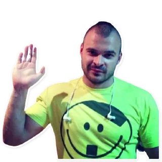 👋 emoji Sieg Heil Telegram sticker 14 of 17