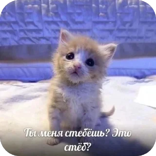 🫥 emoji Китики и не только Telegram sticker 9 of 120