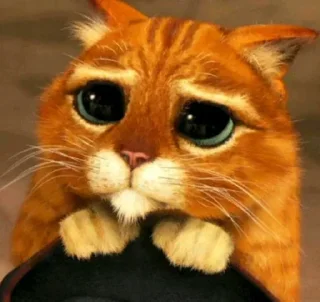 🥺 emoji котікіі Telegram sticker 14 of 33