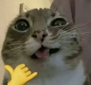 🌟 emoji Memes Telegram sticker 4 of 71