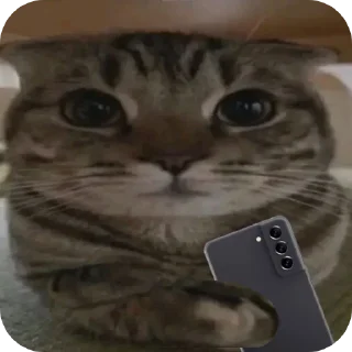 Sticker from Это кто вообще?  (@xd_sergii)