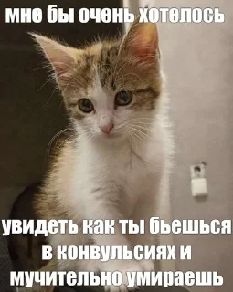 🥹 emoji соня иди нахуй Telegram sticker 15 of 83