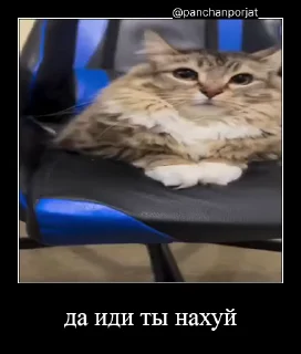 ⚡ emoji Куча Лун :: Автор:@Skuerny Telegram sticker 20 of 120