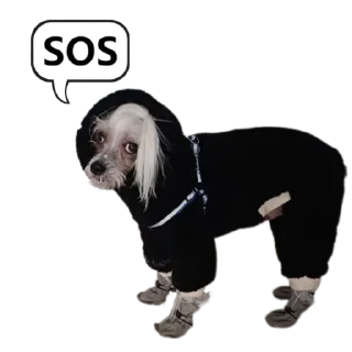 🆘 emoji дикси Telegram sticker 19 of 22