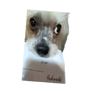 😲 emoji дикси Telegram sticker 7 of 22