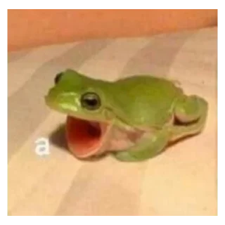 Sticker from Frog for Masha