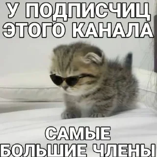 🤩 emoji динаху @MoiStikiBot Telegram sticker 10 of 53