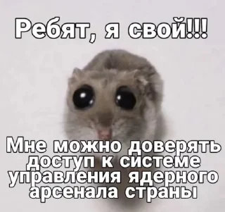 🤩 emoji динаху @MoiStikiBot Telegram sticker 22 of 53