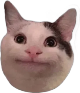 Sticker from I love pet