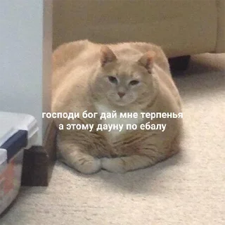 Sticker from всратые картинки