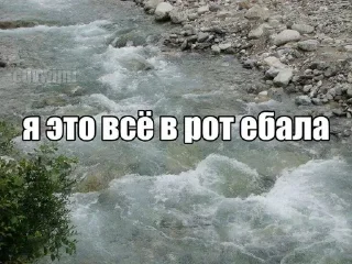 😝 emoji я не договорил @wood1ly Telegram sticker 9 of 53