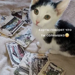 💓 emoji пикчи!! Telegram sticker 18 of 20