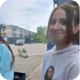 🙂 emoji Гуси Telegram sticker 16 of 30