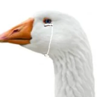 😥 emoji Гуси [] Telegram sticker 20 of 23