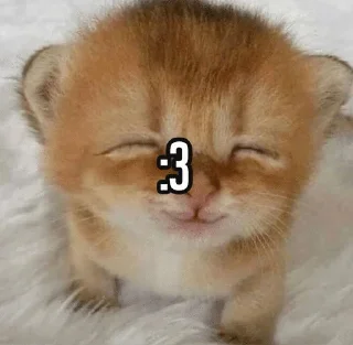 Sticker from штота эээ