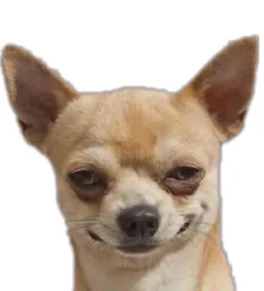 🌟 emoji Memes Telegram sticker 21 of 36