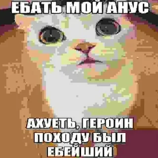 😺 emoji Стикер Араба @MoiStikiBot Telegram sticker 15 of 55