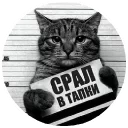 🤬 emoji Папины детки Telegram sticker 19 of 103