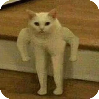 🐱 emoji Котэйки ( @Izuku_Midoriya15_07 Telegram sticker 21 of 120