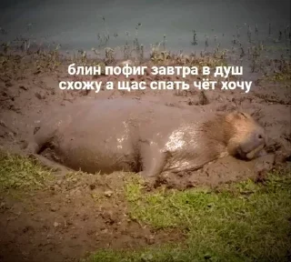 Sticker from самые всратые мемы