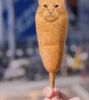 🥖 emoji котики Telegram sticker 10 of 18