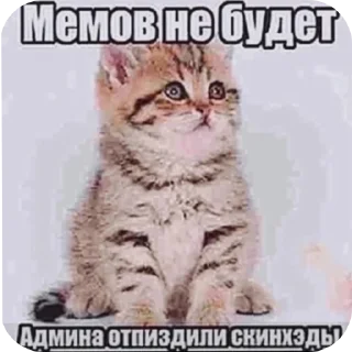 Sticker from Стики мамы