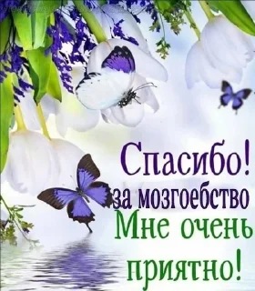 ☺️ emoji мемодел (ct) Telegram sticker 23 of 83
